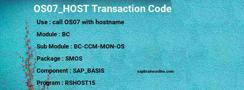 SAP OS07_HOST transaction code