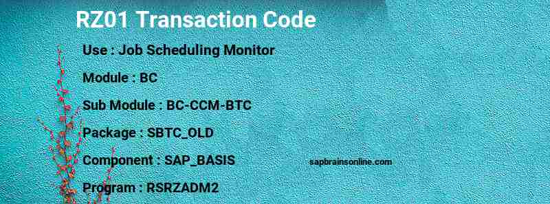 SAP RZ01 transaction code
