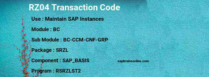 SAP RZ04 transaction code