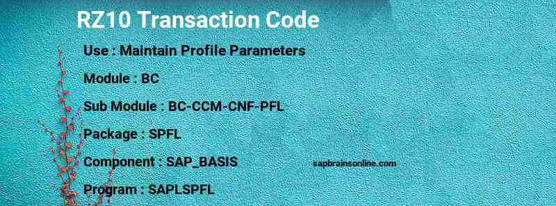 SAP RZ10 transaction code