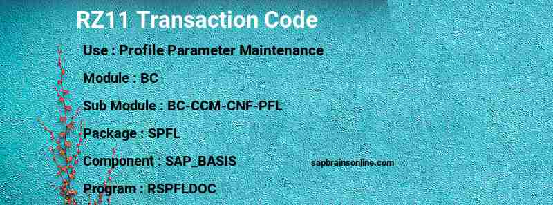 SAP RZ11 transaction code