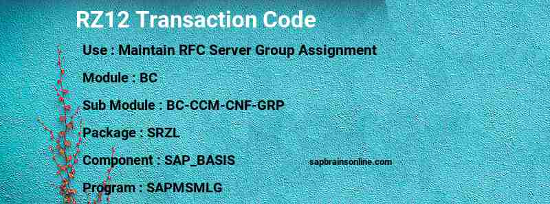 SAP RZ12 transaction code