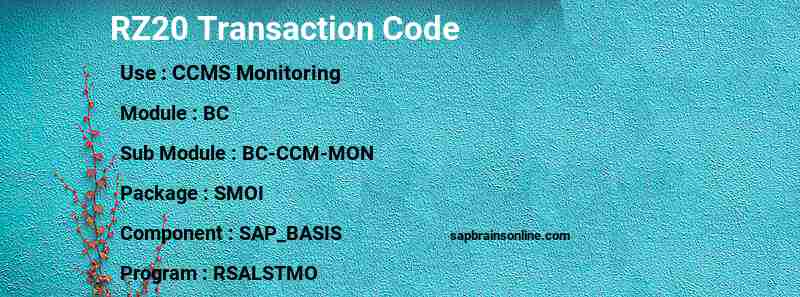SAP RZ20 transaction code