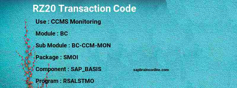 SAP RZ20 transaction code