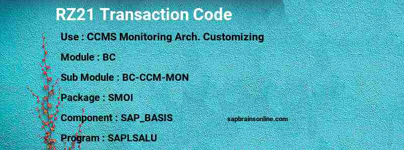 SAP RZ21 transaction code