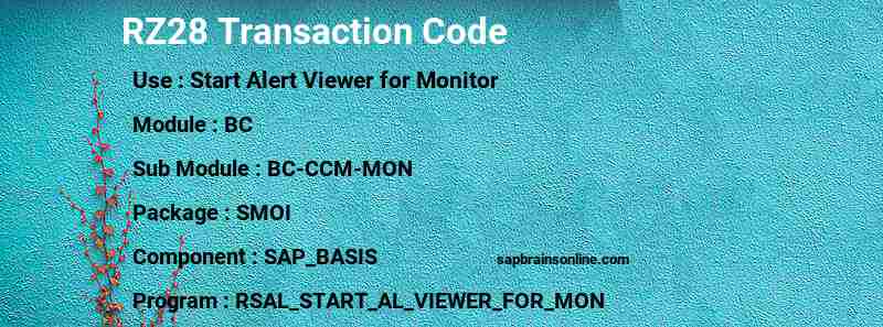 SAP RZ28 transaction code