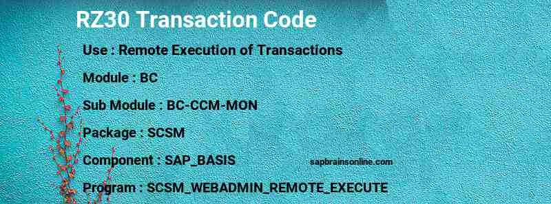 SAP RZ30 transaction code