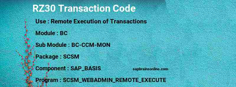 SAP RZ30 transaction code