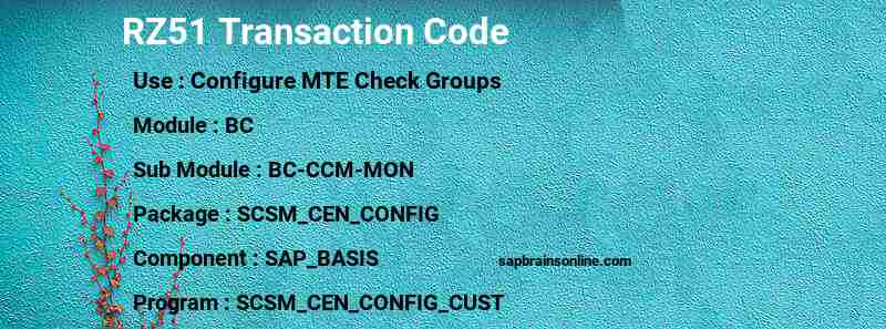 SAP RZ51 transaction code
