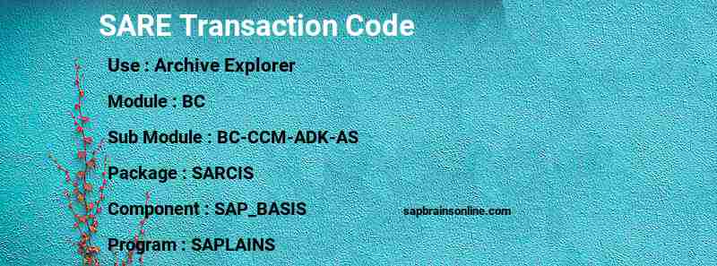 SAP SARE transaction code