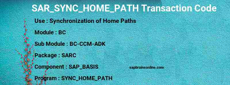 SAP SAR_SYNC_HOME_PATH transaction code