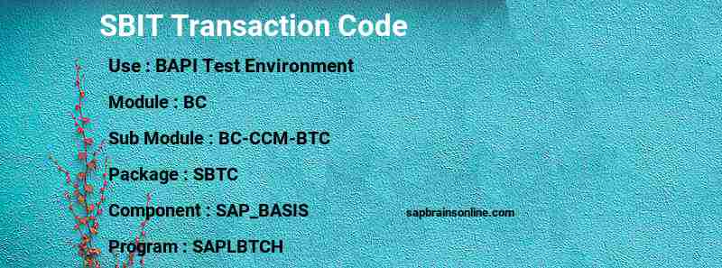 SAP SBIT transaction code