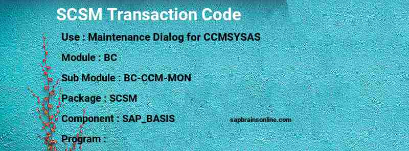 SAP SCSM transaction code