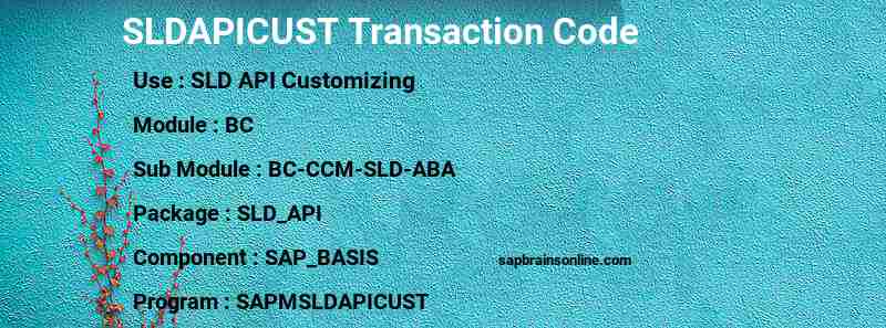 SAP SLDAPICUST transaction code