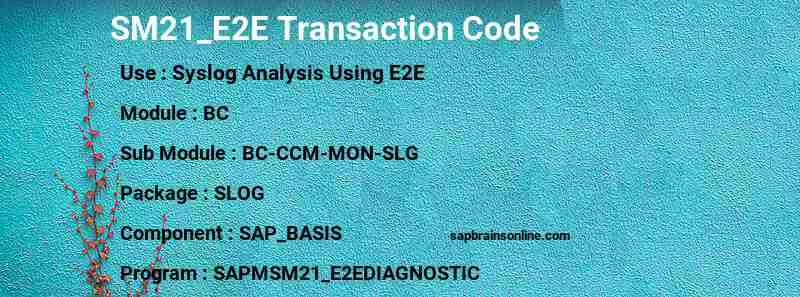 SAP SM21_E2E transaction code