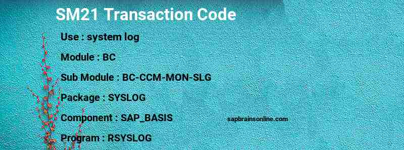 SAP SM21 transaction code