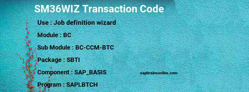 SAP SM36WIZ transaction code