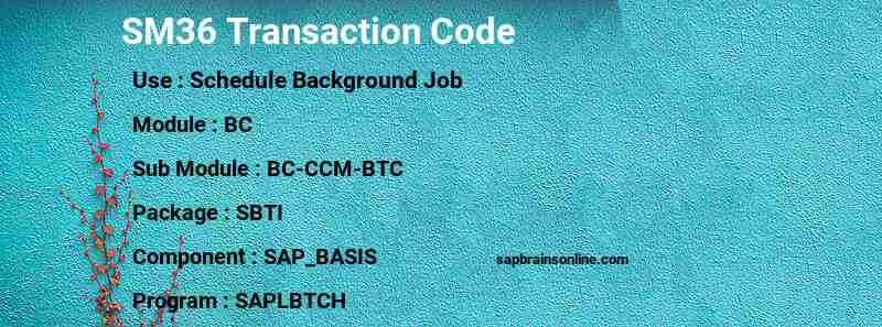 SAP SM36 transaction code