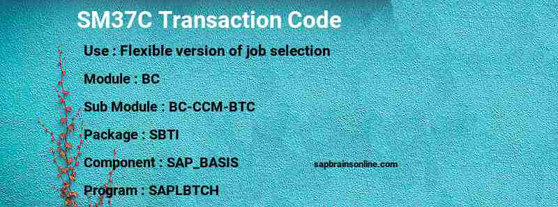 SAP SM37C transaction code