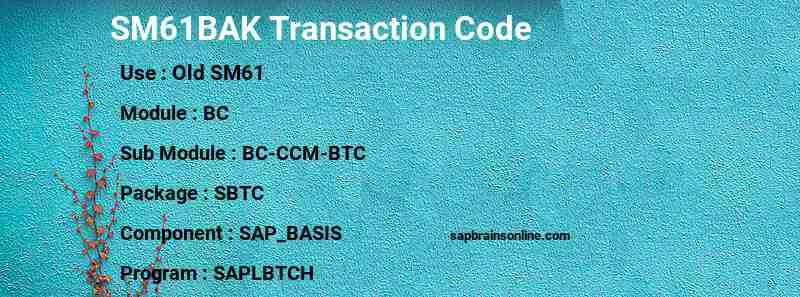 SAP SM61BAK transaction code