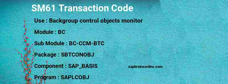 SAP SM61 transaction code