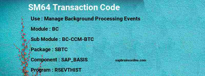 SAP SM64 transaction code
