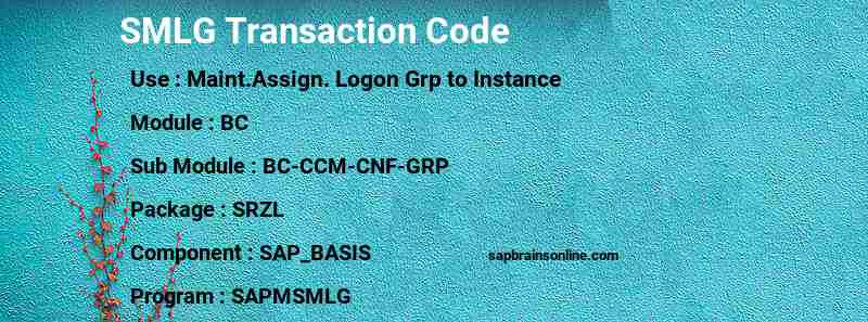 SAP SMLG transaction code