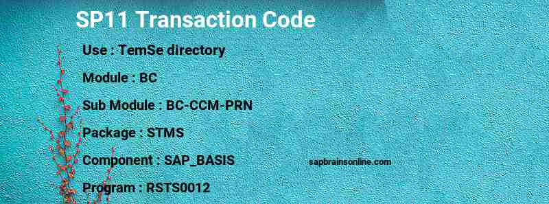 SAP SP11 transaction code