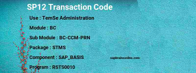 SAP SP12 transaction code