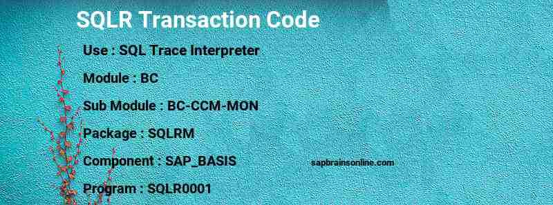 SAP SQLR transaction code