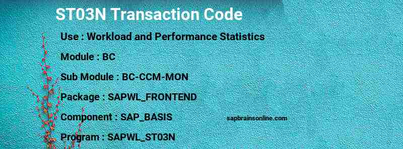 SAP ST03N transaction code