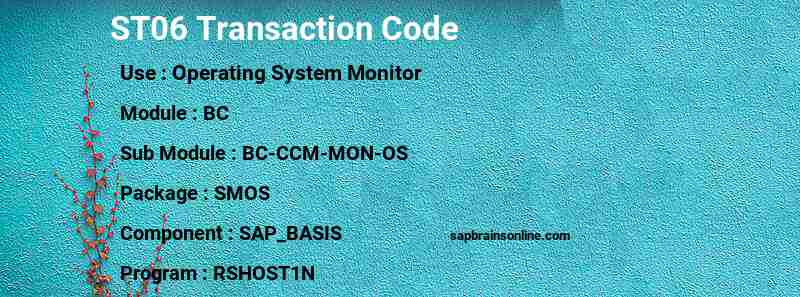 SAP ST06 transaction code
