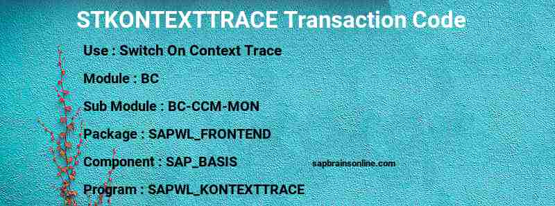 SAP STKONTEXTTRACE transaction code