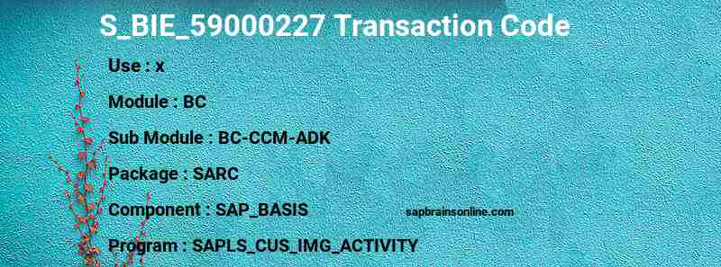 SAP S_BIE_59000227 transaction code