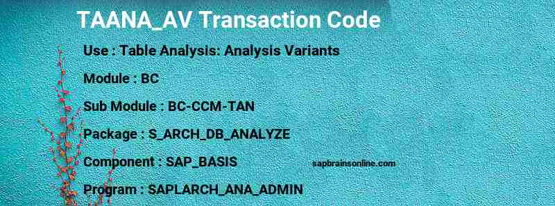 SAP TAANA_AV transaction code