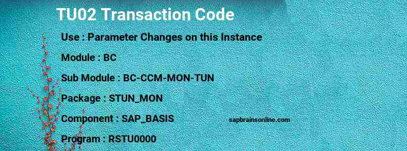 SAP TU02 transaction code