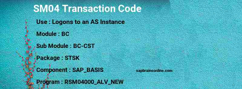 SAP SM04 transaction code