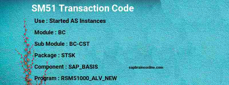 SAP SM51 transaction code