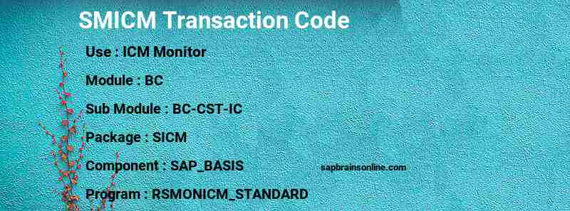 SAP SMICM transaction code