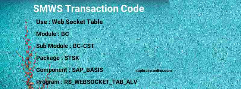 SAP SMWS transaction code