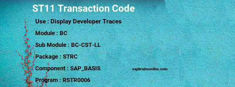 SAP ST11 transaction code