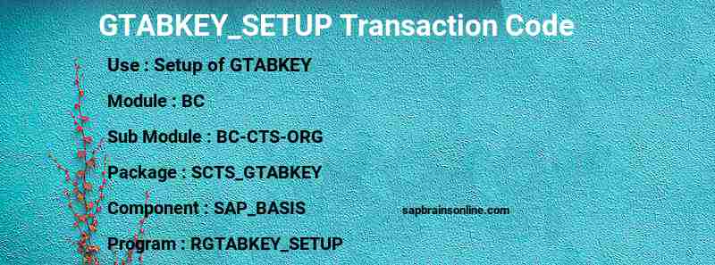 SAP GTABKEY_SETUP transaction code