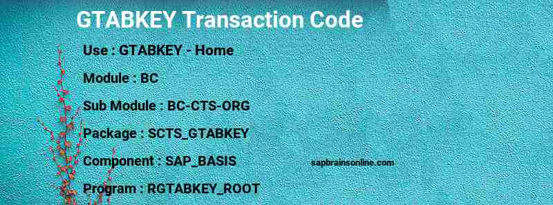 SAP GTABKEY transaction code