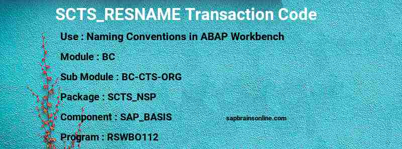 SAP SCTS_RESNAME transaction code