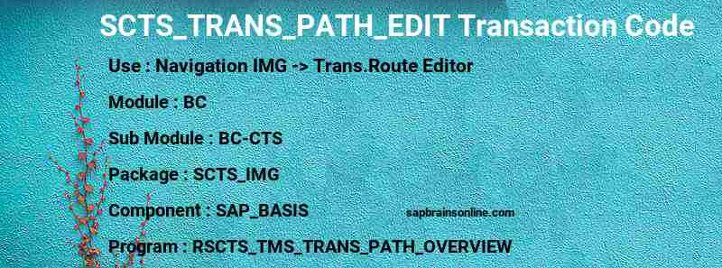 SAP SCTS_TRANS_PATH_EDIT transaction code