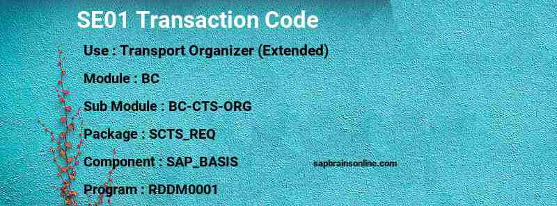 SAP SE01 transaction code