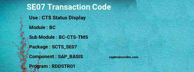 SAP SE07 transaction code