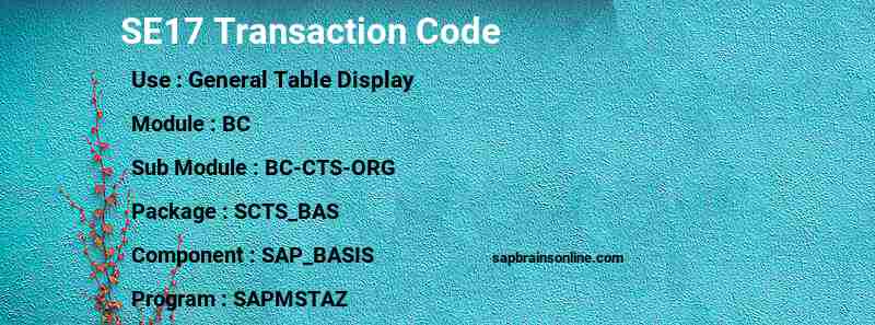 SAP SE17 transaction code