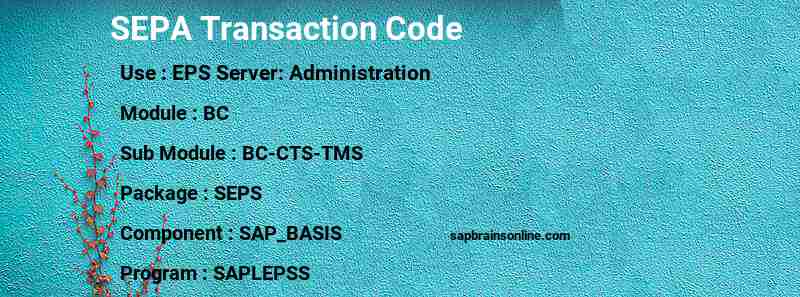 SAP SEPA transaction code
