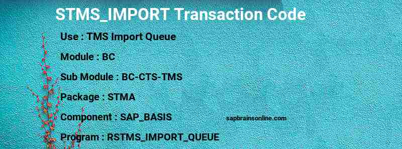 SAP STMS_IMPORT transaction code